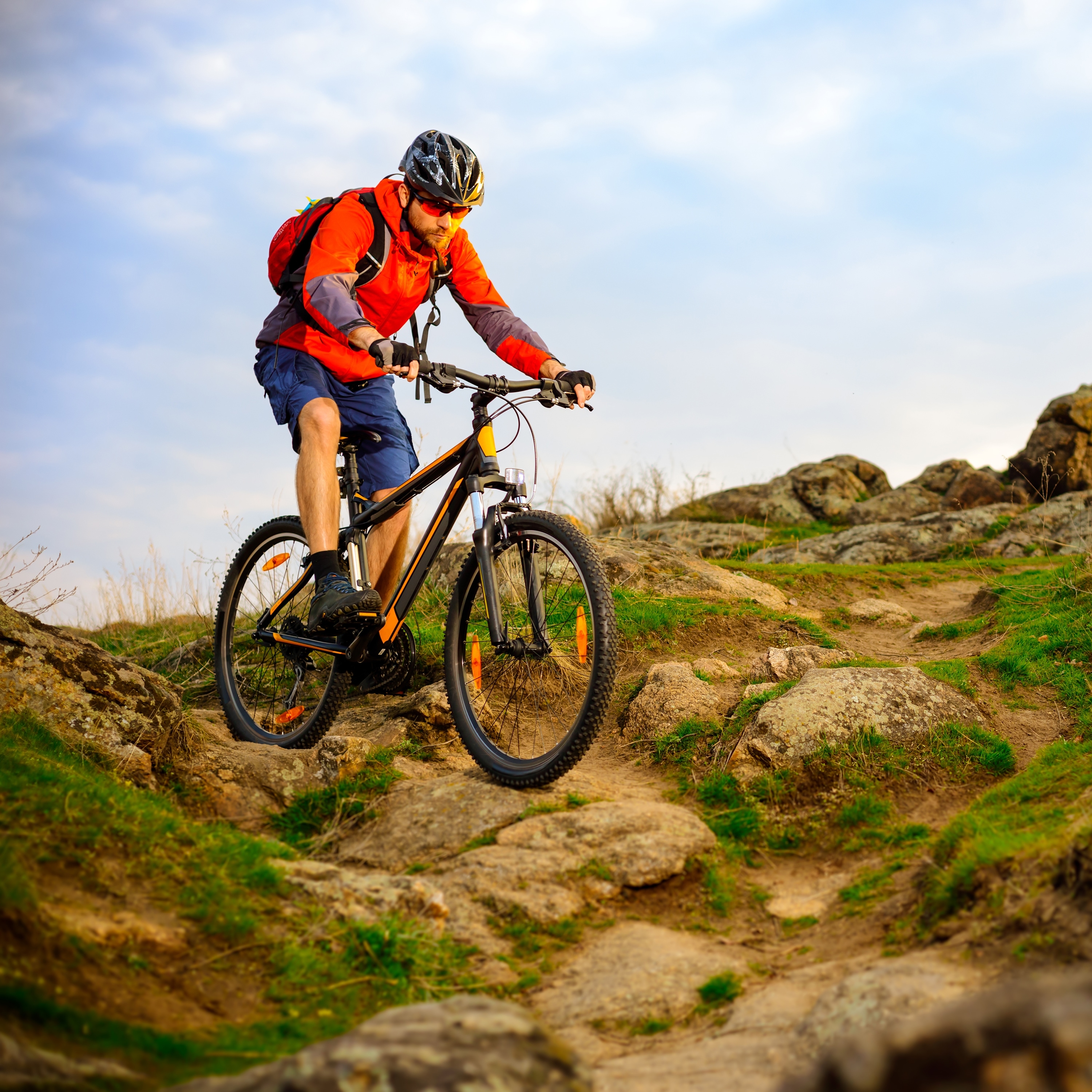 Fahrrad Lackschutzfolie Universal